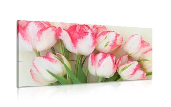 Obraz tulipany w wiosennej odsłonie - 120x60