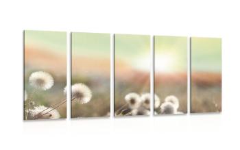 5-częściowy obraz panorama kwitnącej łąki - 200x100