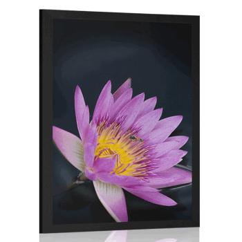 Plakat kwiat polny - 60x90 black