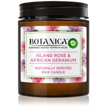 Air Wick Botanica Island Rose & African Geranium świeczka zapachowa z różanym aromatem 205 g