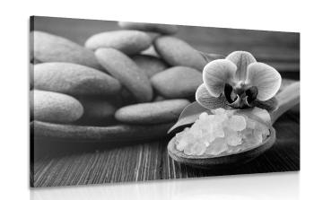Obraz magia wellness w wersji czarno-białej - 120x80