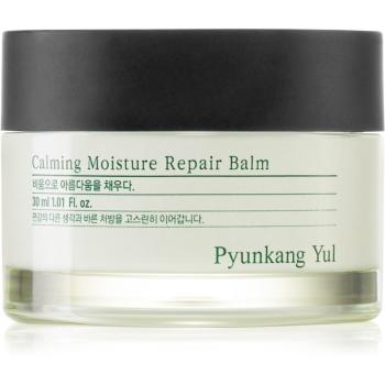 Pyunkang Yul Calming Moisture Repair Balm balsam regenerująco-nawilżający dla cery wrażliwej 30 ml