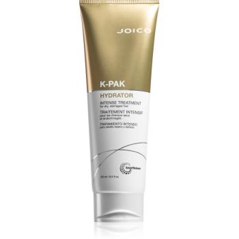 Joico K-PAK Hydrator odżywka odżywiająca do włosów zniszczonych 250 ml