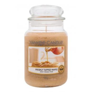 Yankee Candle Freshly Tapped Maple 623 g świeczka zapachowa unisex