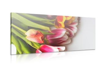 Obraz bukiet kolorowych tulipanów - 100x50