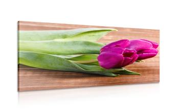Obraz bukiet fioletowych tulipanów - 100x50