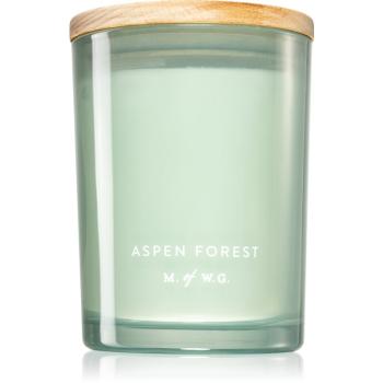 Makers of Wax Goods Aspen Forest świeczka zapachowa 420 g