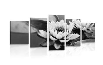 5-częściowy obraz kwiat lotosu w jeziorze w wersji czarno-białej - 200x100