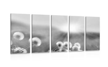 5-częściowy obraz panorama kwitnącej łąki w wersji czarno-białej - 100x50