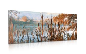 Obraz rzeka w środku jesiennej przyrody