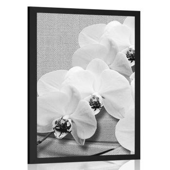 Plakat orchidea na płótnie w czerni i bieli - 30x45 black