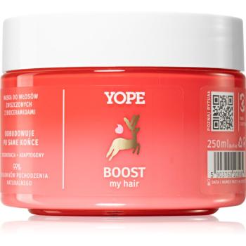 Yope BOOST my hair maseczka regenerująca do włosów zniszczonych 250 ml
