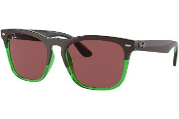 Ray-Ban Steve RB4487 663469 ONE SIZE (54)