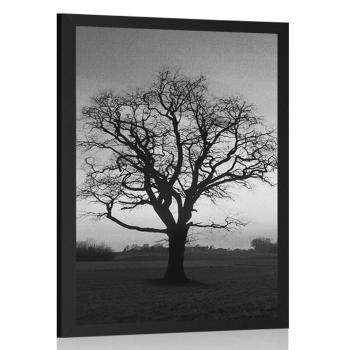 Plakat urocze drzewo w czerni i bieli - 30x45 silver