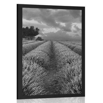 Plakat lawendowe pole w czerni i bieli - 60x90 black
