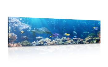 Obraz ryby tropikalne - 150x50