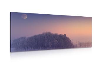 Obraz pełnia księżyca nad wsią - 120x60