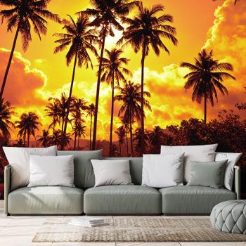 Tapeta palmy kokosowe na plaży - 225x150