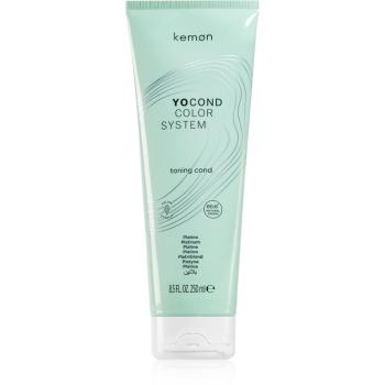 Kemon Yocond Color System Platinum odżywka tonizująca 250 ml