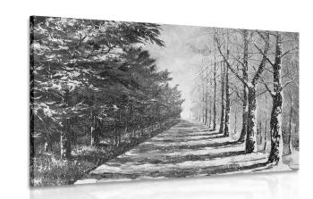 Obraz jesienna aleja drzew w wersji czarno-białej - 60x40