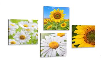 Zestaw obrazów piękne kwiaty na łące - 4x 40x40