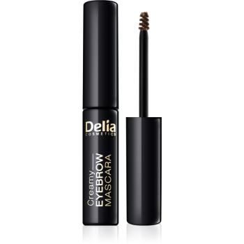 Delia Cosmetics Eyebrow Expert tusz do brwi odcień Brown 4 ml