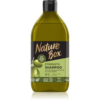 Nature Box Olive Oil szampon ochronny przeciw łamliwości włosów 385 ml