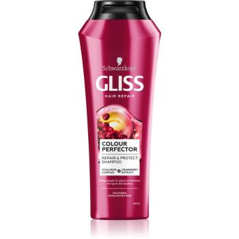 Schwarzkopf Gliss Colour Perfector szampon ochronny do włosów farbowanych 250 ml
