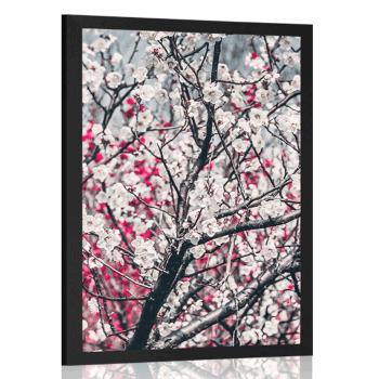 Plakat kwiaty brzoskwini - 60x90 black