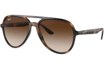 Ray-Ban RB4376 710/13 ONE SIZE (57)