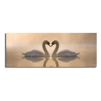 Obraz na płótnie Swan Love, 90x30 cm