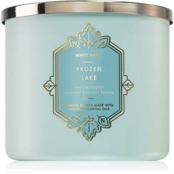 Bath & Body Works Frozen Lake świeczka zapachowa II. 411 g