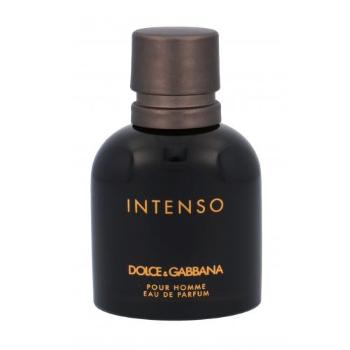 Dolce&Gabbana Pour Homme Intenso 40 ml woda perfumowana dla mężczyzn