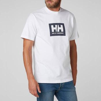 Koszulka męska Helly Hansen Box T-Shirt 53285 001
