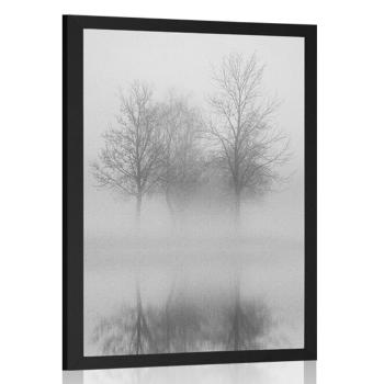 Plakat drzewa we mgle w czerni i bieli