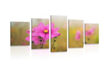 5-częściowy obraz kwitnący różowy kwiat - 100x50