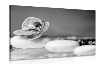 Obraz orchidea i kamienie Zen w wersji czarno-białej - 120x80