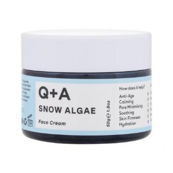 Q+A Snow Algae Intensive Face Cream 50 g krem do twarzy na dzień dla kobiet