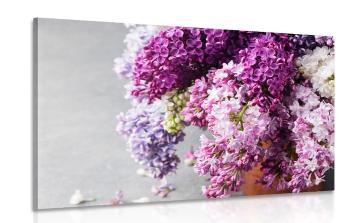 Obraz lilak w odcieniach różu - 120x80