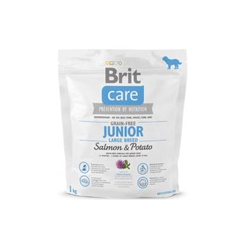 BRIT Care Grain-free Junior Large Breed karma sucha z łososiem 1 kg