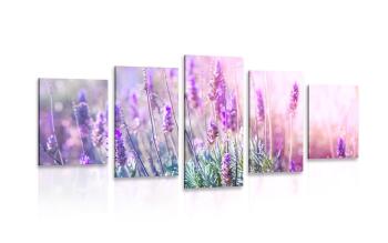 5-częściowy obraz magiczne kwiaty lawendy - 200x100