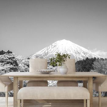 Samoprzylepna fototapeta góra Fuji w czerni i bieli - 225x150