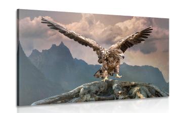 Obraz orzeł z rozpostartymi skrzydłami nad górami - 90x60