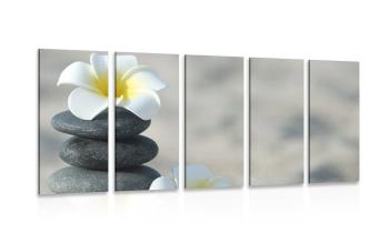 5-częściowy obraz kamienie harmoniczne i kwiat plumerii - 200x100
