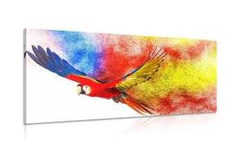 Obraz lot papugi - 100x50