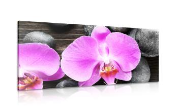 Obraz piękna orchidea i kamienie - 100x50