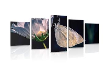 5-częściowy obraz motyl na kwiatku - 200x100