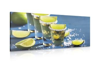 Obraz meksykańska tequila - 120x60