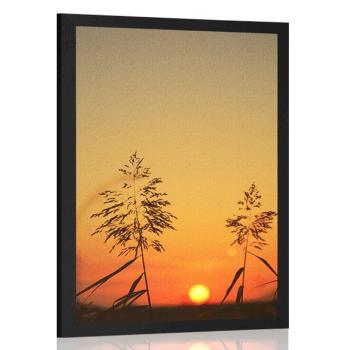 Plakatźdźbła trawy o zachodzie słońca - 30x45 black
