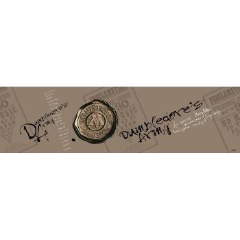 Dekoracyjny pas samoprzylepny Harry Potter, 500 x 9,7 cm